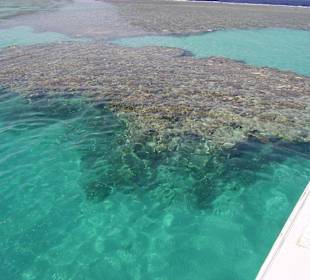 Schnorchelausflug per Boot