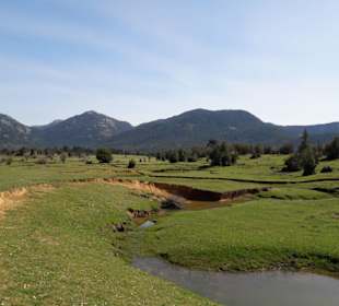 Tal der wilden Pferde