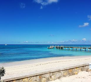 Im Bereich des National Parks