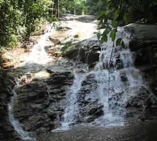 Dschungel- und Bootstour