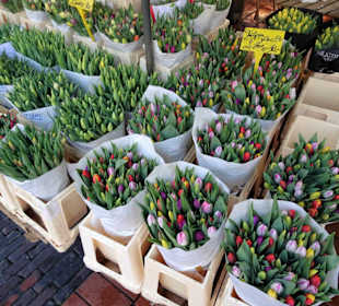 Rundgang über den Emder Wochenmarkt