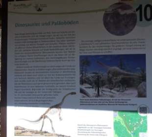 Geologischer Lehrpfad Kirnbachtal