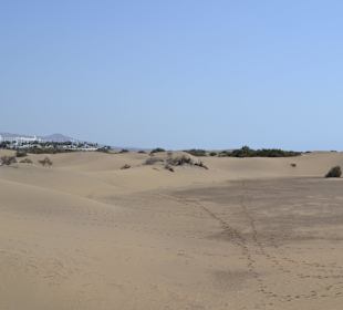 Dünen von Maspalomas