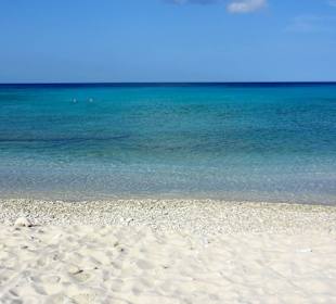 Impressionen aus der Daaibooi-Bucht