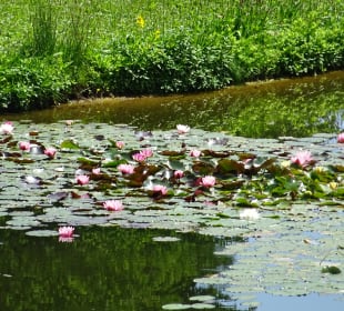 Höhenpark Killesberg