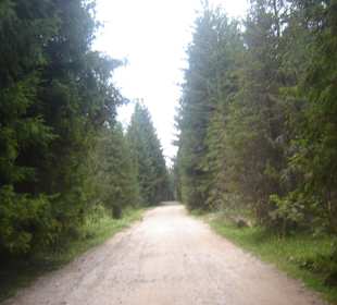 Parcul Natural Apuseni