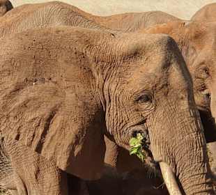 Geführte Touren Marco Polo Tours & Safaris Diani Beach