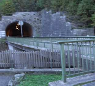 Weltgrößte Kuckucksuhr