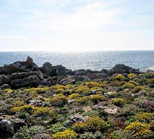 Wanderung vom Cap Salines nach Colònia Sant Jordi