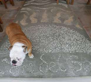 Eingangsbereich neu gestaltet und Maggy