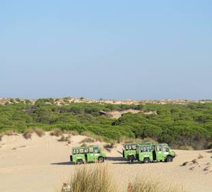 Parque National de Donana
