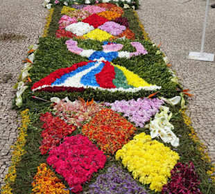 Blütentapeten auf den Straßen