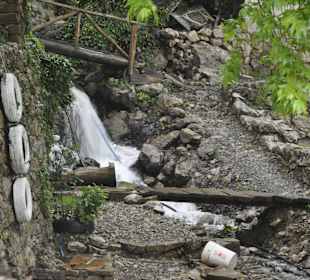 Hoch im Taurus Forellen