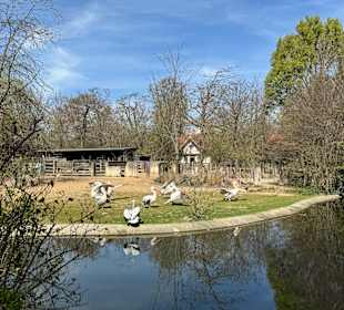 Zoo Leipzig