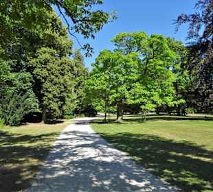 Spaziergang durch den Hofgarten Coburg