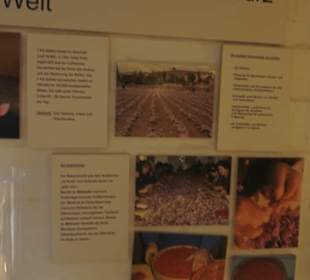 Spicy's Gewürzmuseum