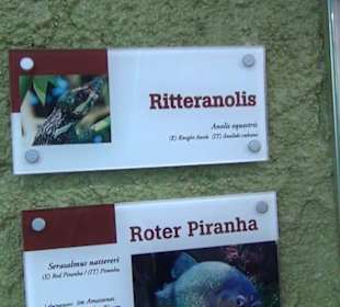 Südamerika Bereich - Südamerikahaus