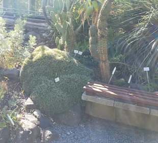 Botanischer Garten 