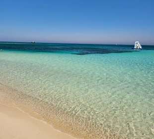 Basant Tours - Limousinen-Service 