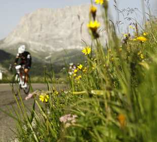 Maratona dles Dolomites