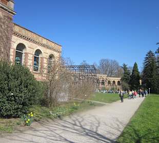 Der Botanische Garten im März 14
