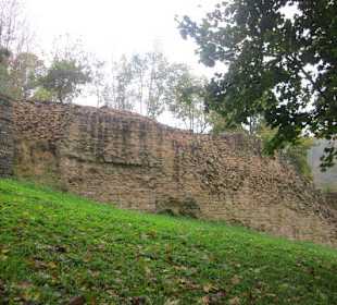 Ruine Wachtenburg