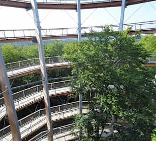 Im Turm des Baumwipfelpfades Steigerwald