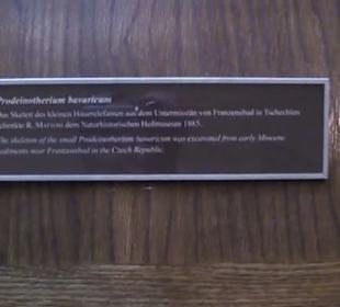 Naturhistorisches Museum