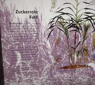 Deutsches Technikmuseum