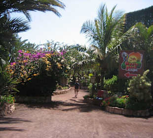 Eingang zum Oasis Park