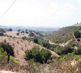 In einer perfekt dazu passenden Landschaft