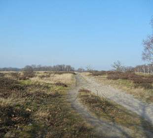 Wunderschöne Boberger Niederung