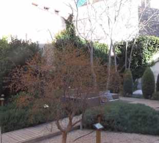 Museum de San Isidro