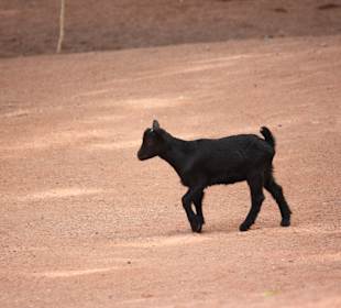 ZOOM Erlebniswelt Gelsenkirchen