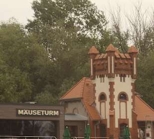 Blick von der Elbe zum Mäuseturm / Schöpfwerk