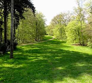 Spaziergang durch den Bremer Stadtwald