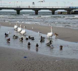 Strandidylle im November