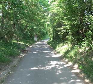 Früchtetrauf - Wurmlinger Kapellenwegle