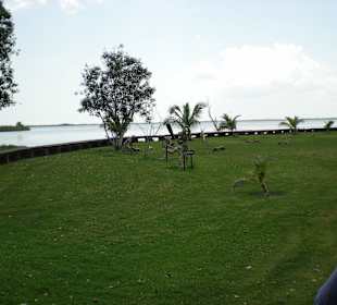 Grünbereich im Indianerdorf 