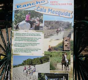 Tour & Ausflug Cala Mesquida