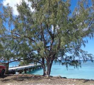 Im Bereich des National Parks