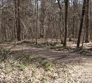 Geschichtlicher Lehrpfad Einsiedel