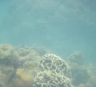 Direkt vor'm Hotel Coral Cove Chalet