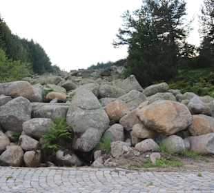 Vitosha Steinfluß oberhalb Sofia