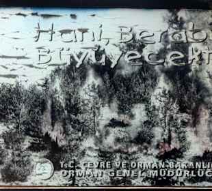 Eine einzigartige Entdeckung am Stausee