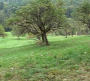 Altwege Rundwanderung Bebenhausen