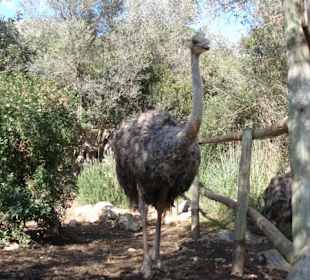 La Reseva - Parc de Natural