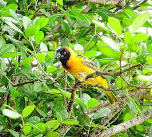 Immer Reserve haben!