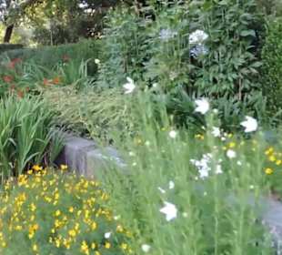 Real Jardín Botánico de Madrid