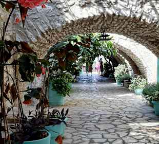 Inselrundfahrt Korfu